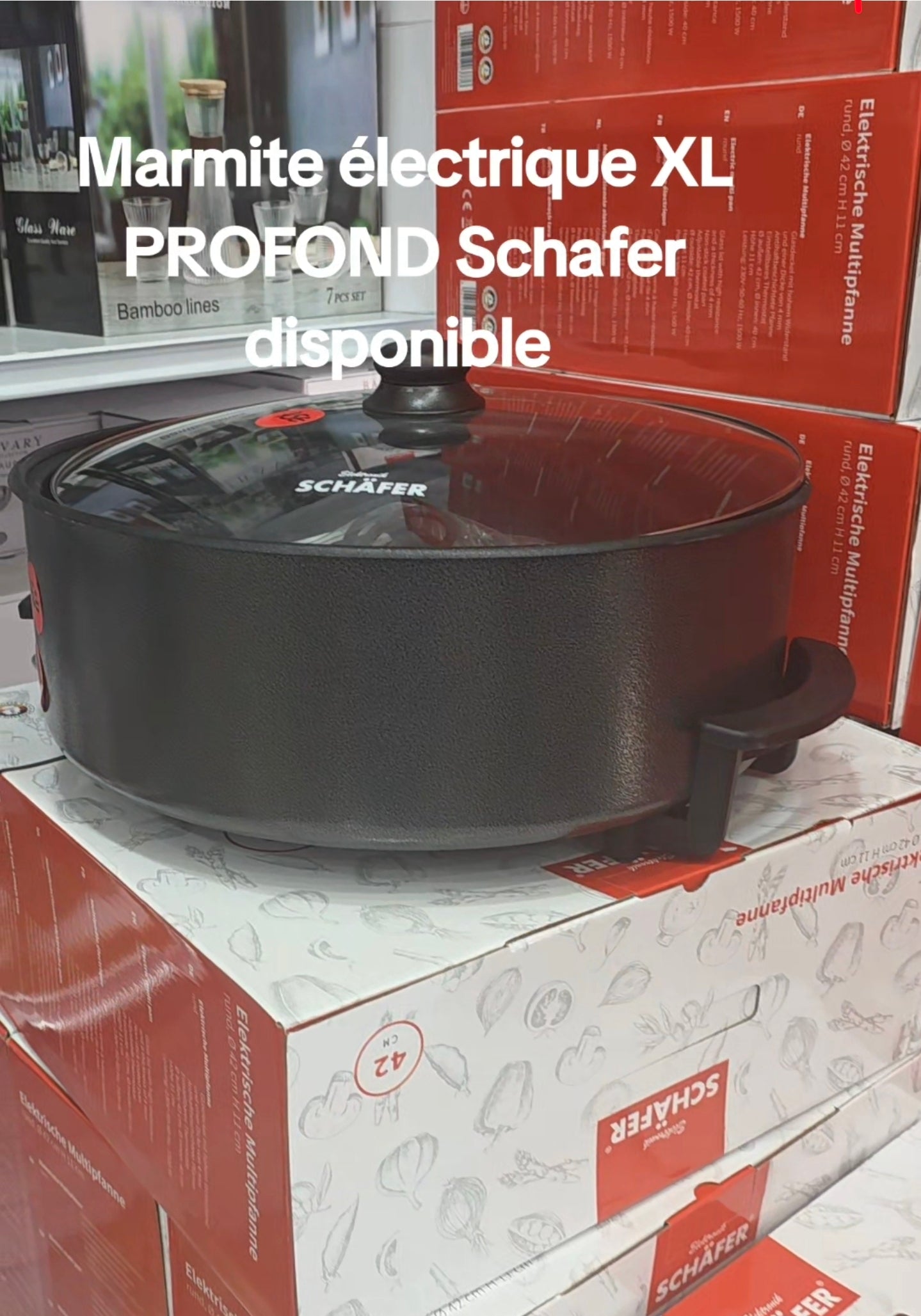 MARMITE ELECTRIQUE 42X11cm Pizza pan XL avec thérmistat - SCHAFER